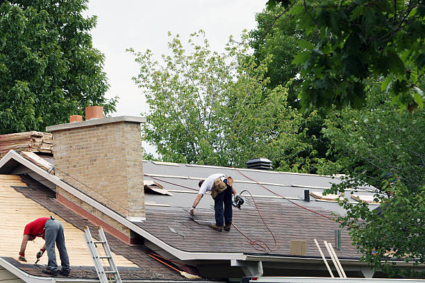 Roof Repair Estimates in Whiteville, TN